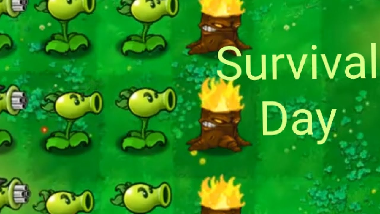 PVZ:Survival day walkthrough