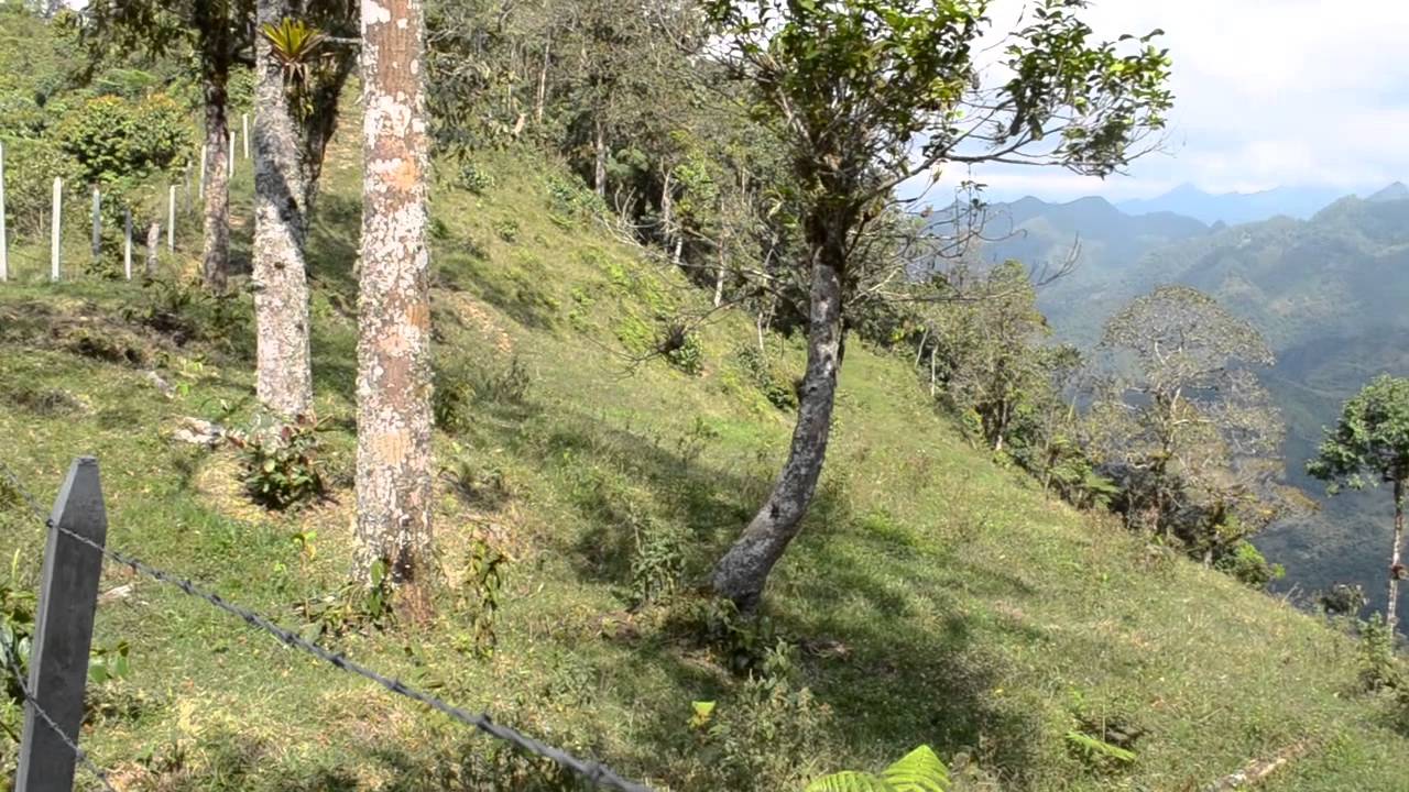 Finca Lago Pasuncha (Pacho Cundinamarca)