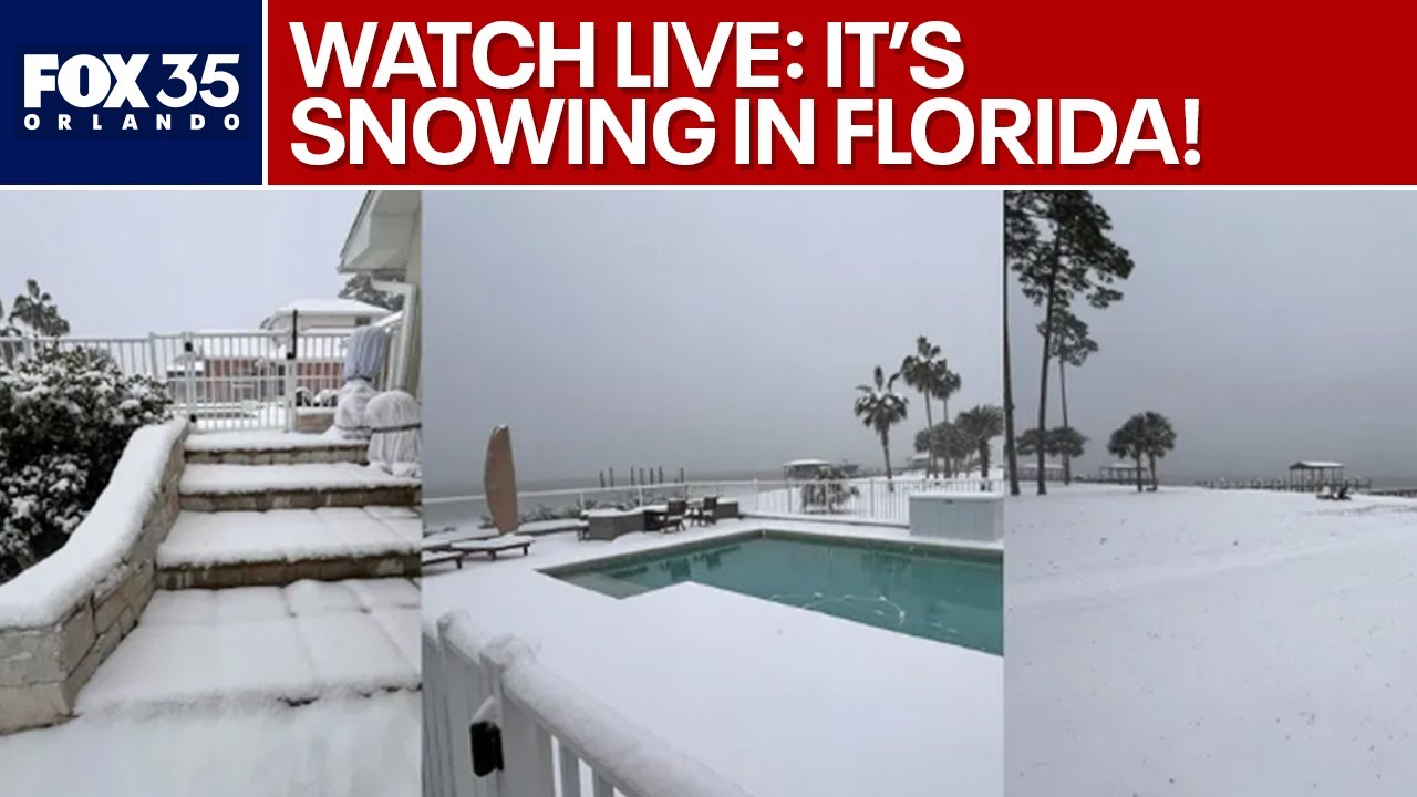 WATCH LIVE: It's snowing in Florida!