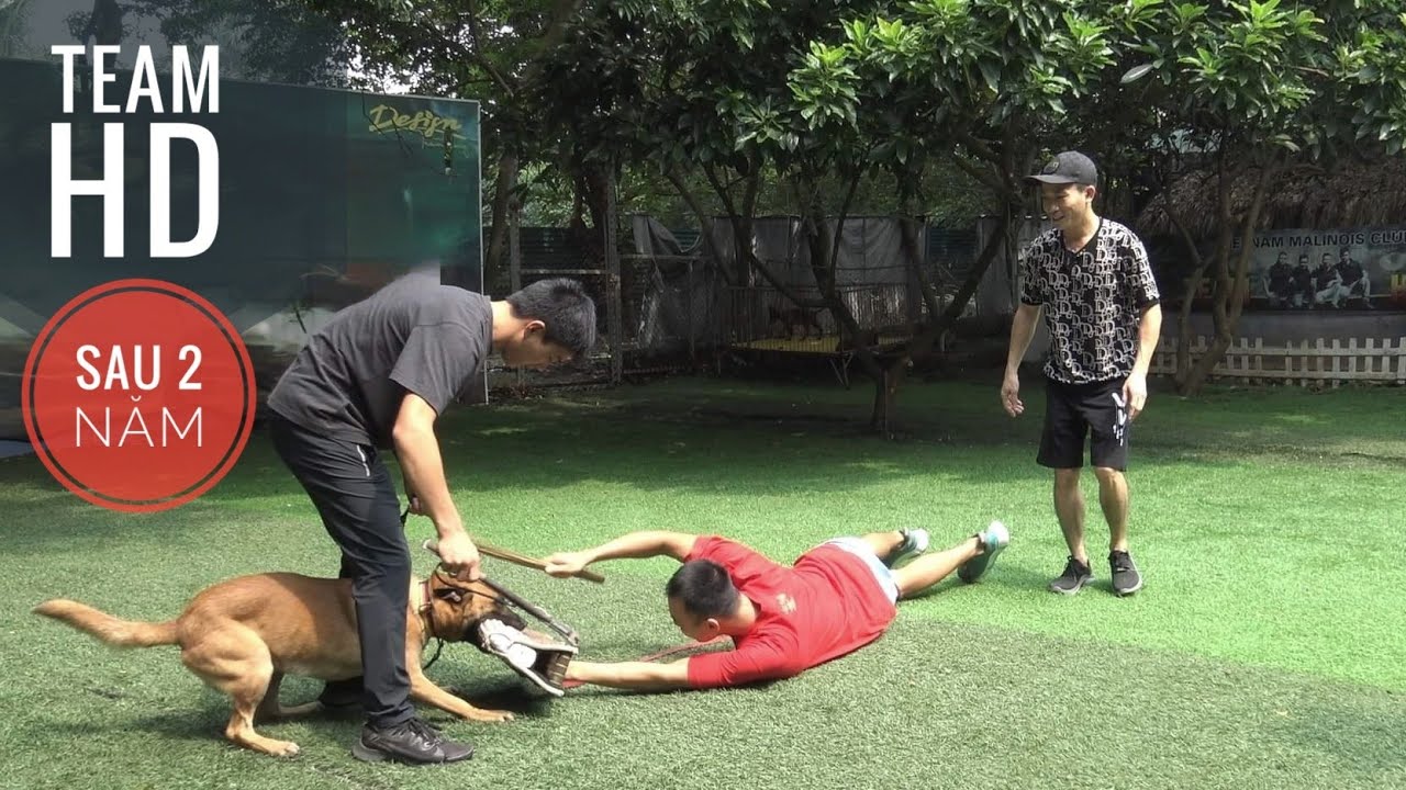 Thăm Anh Em Team HD sau 2 Năm / Huấn Luyện Chó Malinois / NhamTuatTV - Dog in Vietnam