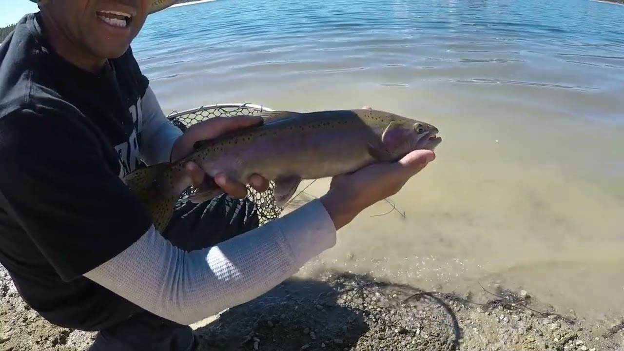 Spring Rainbows at Lake Davis (Plumas County)