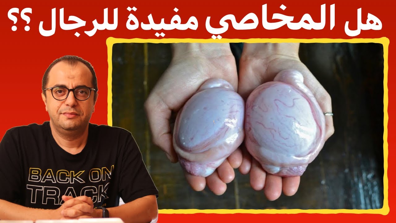 هل اكل مخاصي الخروف مفيد للرجال ؟ 🔞♐️♐️