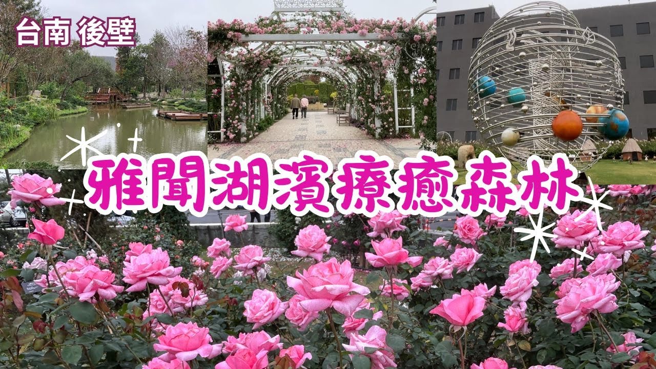 2025 - 3 台南 後壁 雅聞湖濱療癒森林🌹號稱全台最大玫瑰森林主題園區🌹免門票📷 拍照打卡點