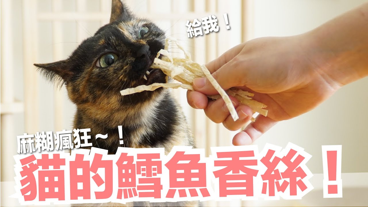 【好味小姐】做了貓的鱈魚香絲！以後不用跟我搶了！｜貓副食｜貓鮮食廚房EP202