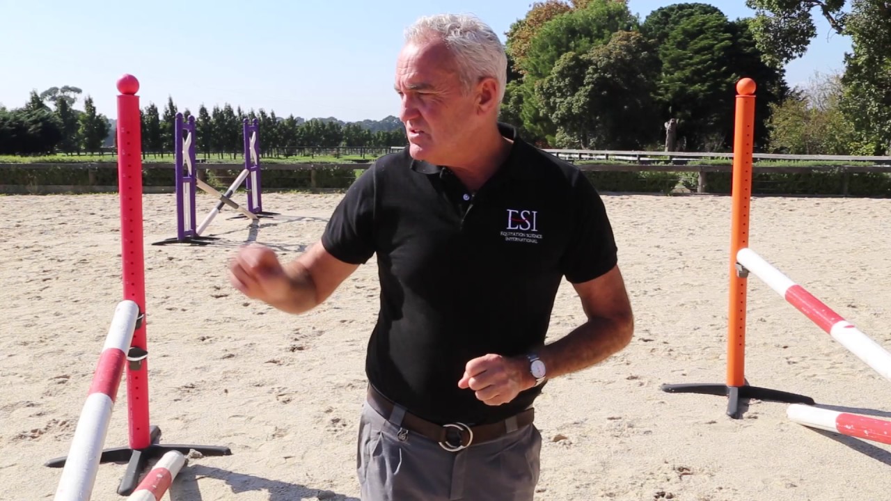 How grids improve horse jumping technique with Andrew McLean