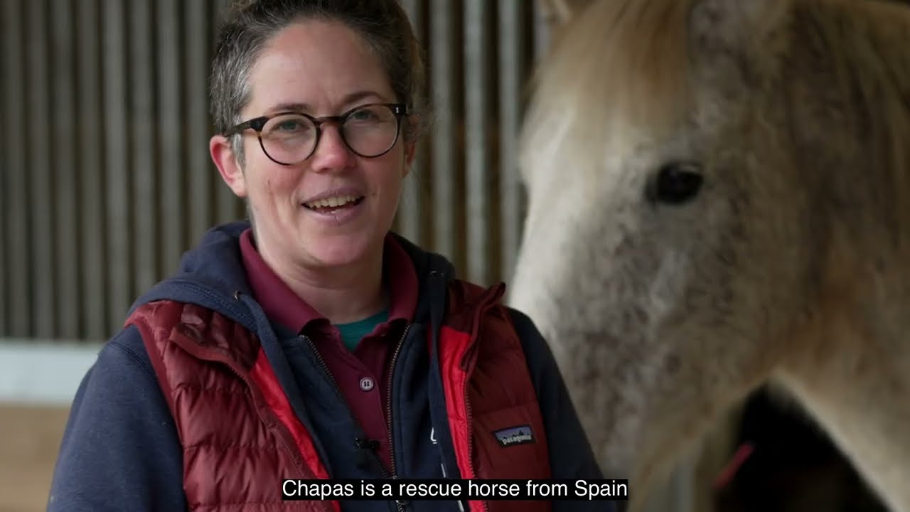 Horses and their therapeutic benefits on mental and physical wellbeing