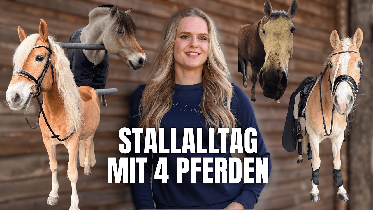 STALLTAG MIT 4 PFERDEN 🤯