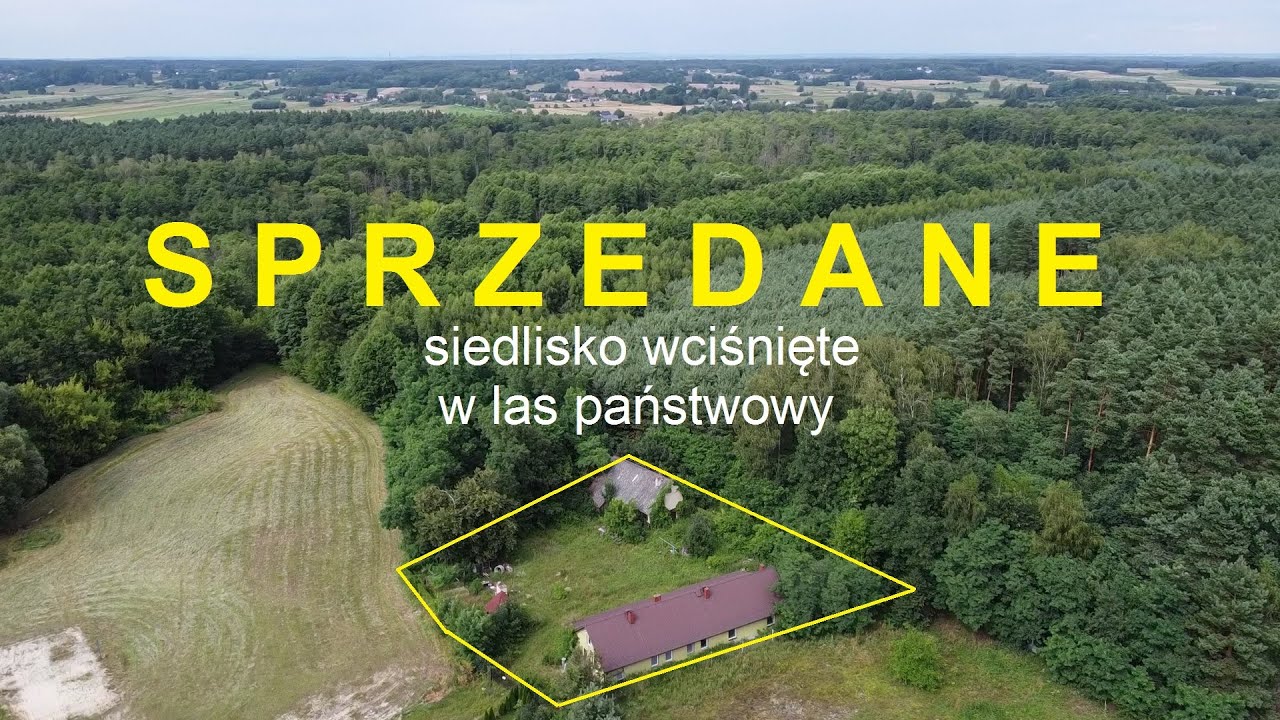 SPRZEDANE siedlisko przy lesie blisko rzeki, Ponidzie, świętokrzyskie Busko-Zdrój powiat buski
