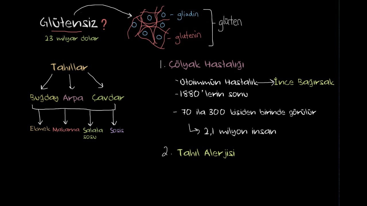 Glüten Nedir? (Sağlık ve Tıp)