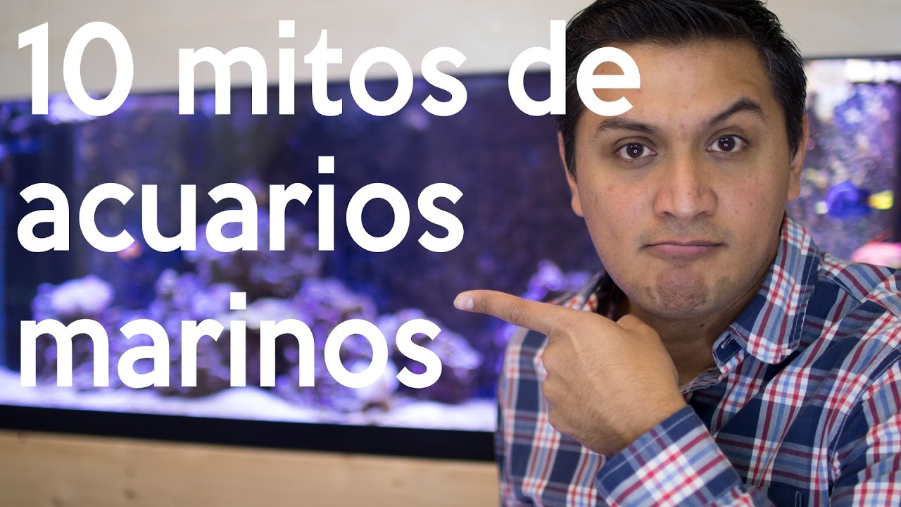 10 mitos del hobby de los acuarios marinos