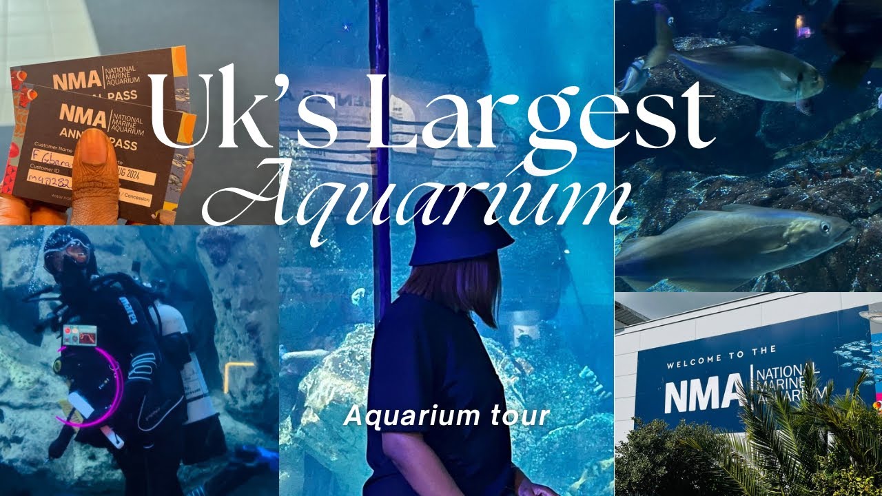 The Largest Aquarium in UK 🇬🇧 | National Marine Aquarium tour