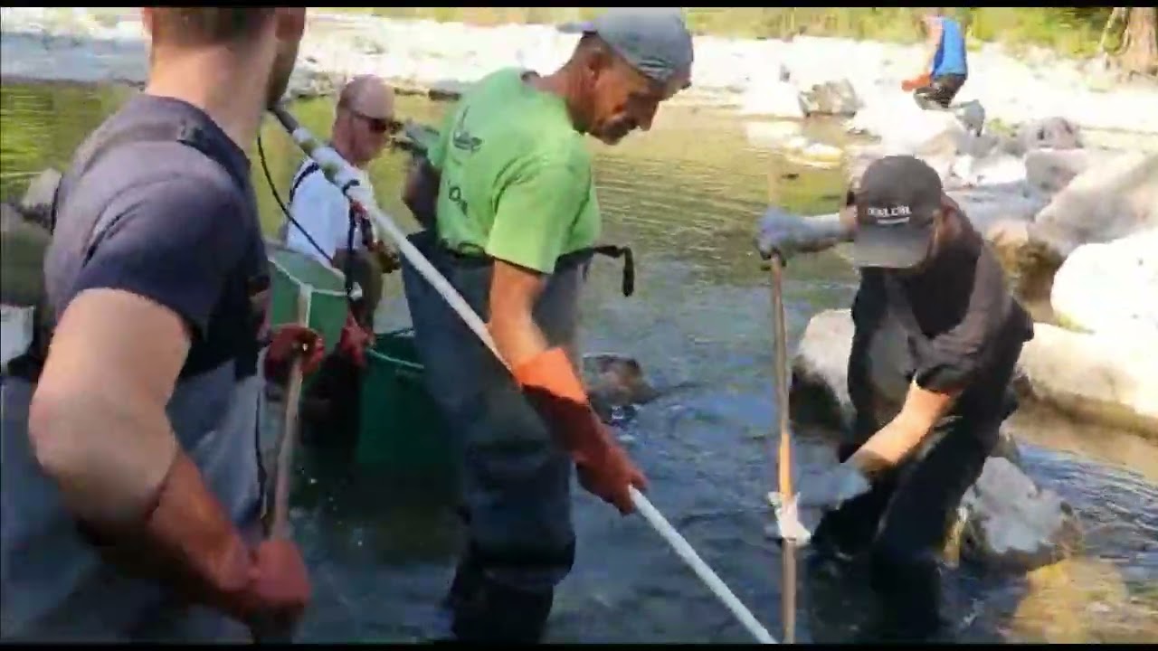 2ème film AAPPMA Albarine : Pêches de sauvetage 2022