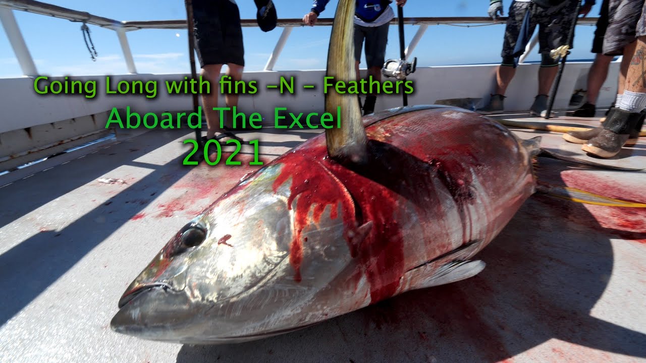 Going Long With Fins -  N - Feathers Aboard The Excel 2021