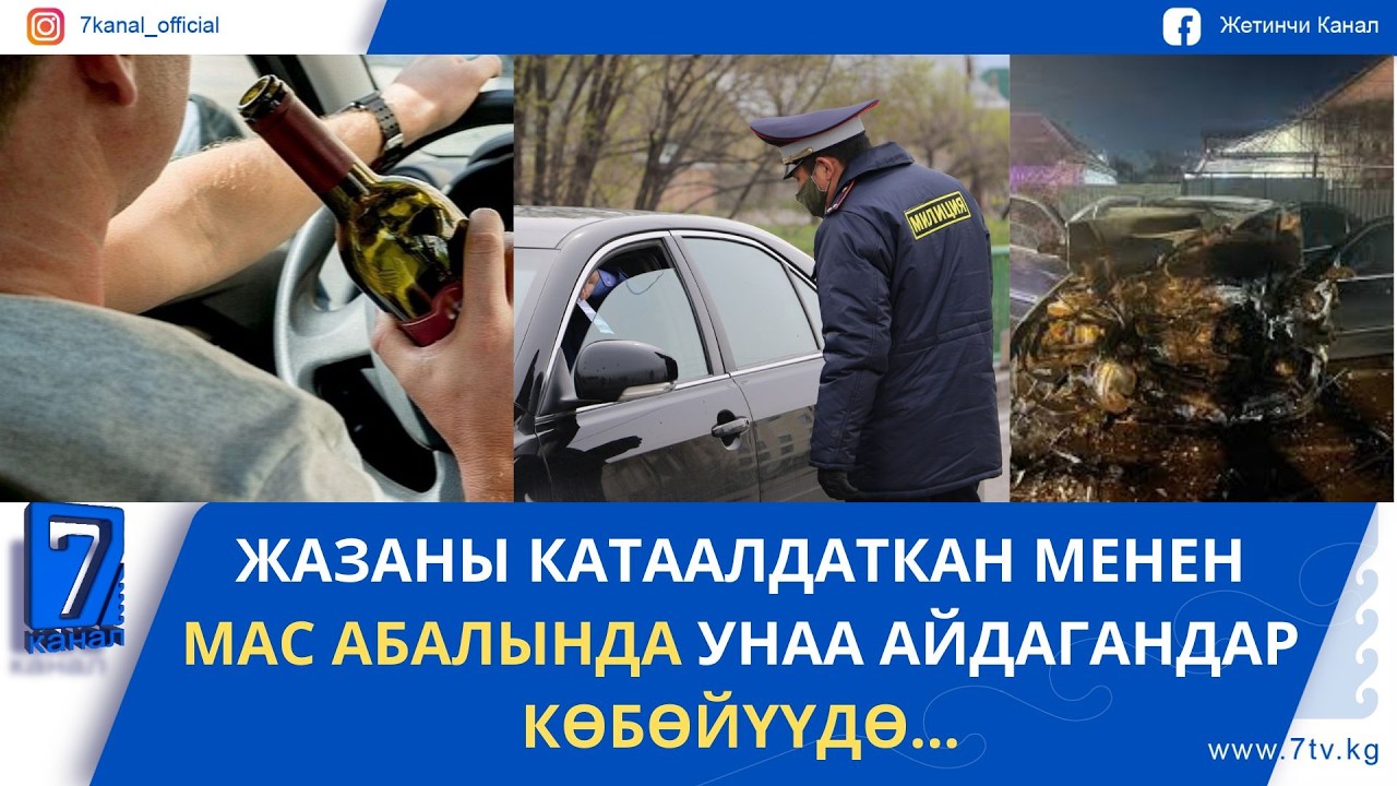 МАС АБАЛЫНДА УНАА АЙДАГАНДАР КӨБӨЙҮҮДӨ...