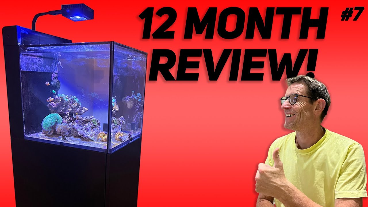 Red Sea Max Nano Peninsula: 12 month review