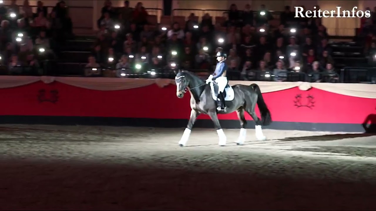 TRAKEHNER HENGSTMARKT 2024 - JESSICA v. BREDOW-WERNDL mit DALERA