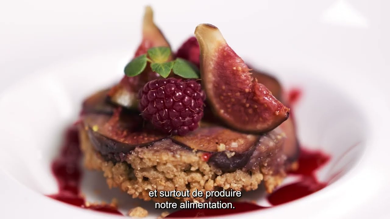 Se former comme un chef : pour des assiettes plus vertes !