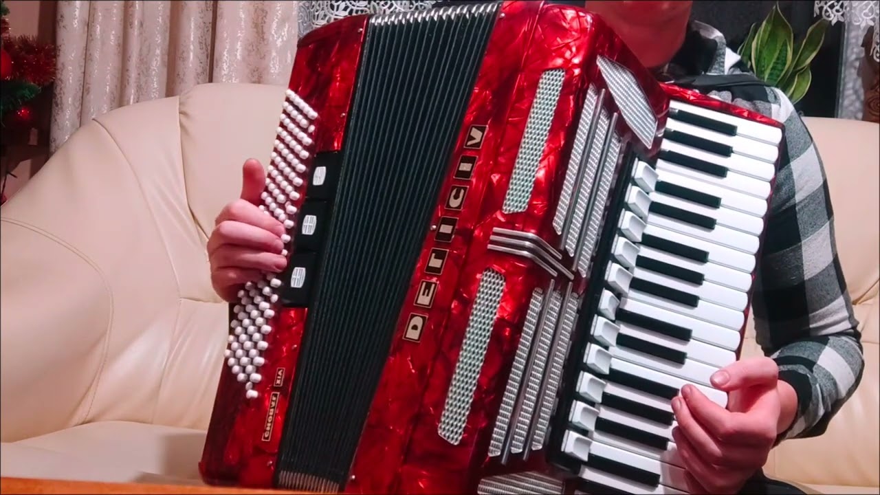 Akordeon Delicia choral XIV 120 basów - test