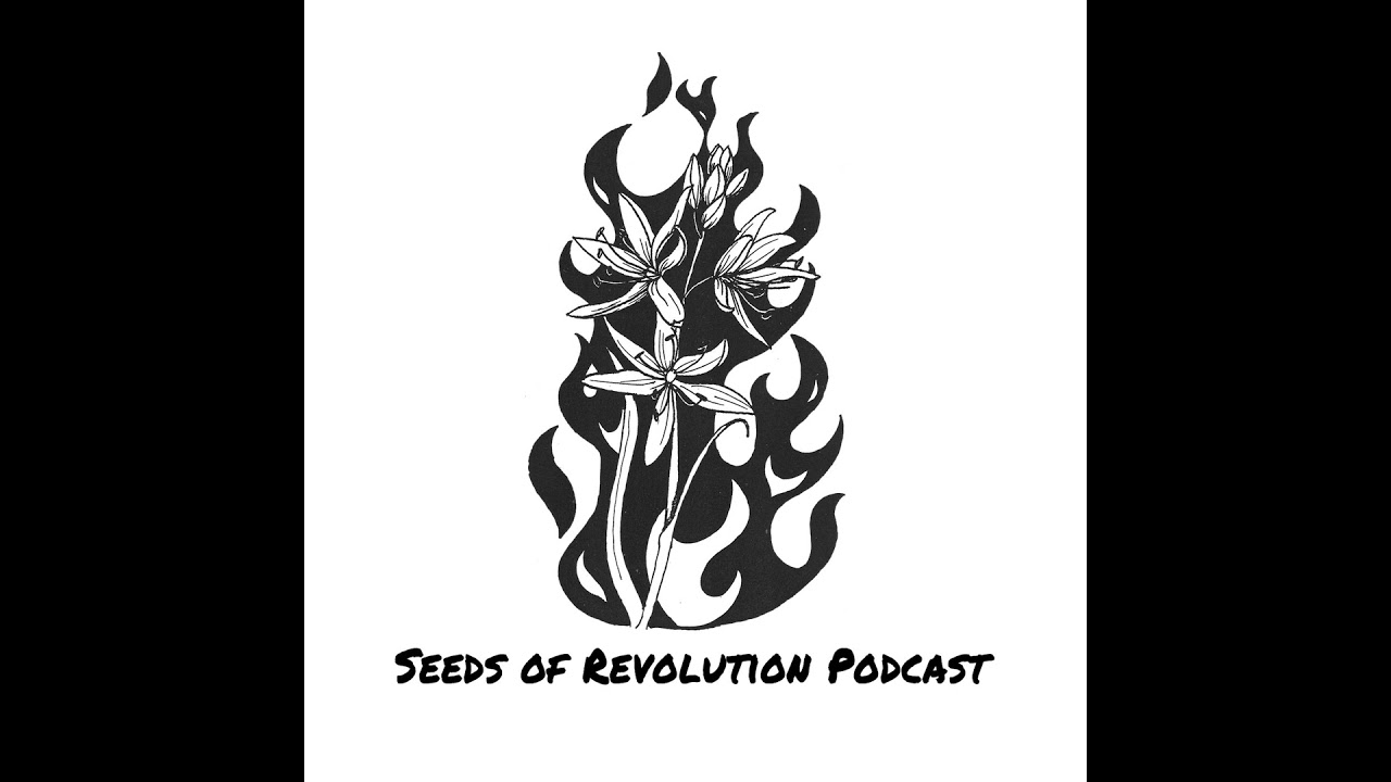 William Gillis on Radical vs Liberal Abolitionism