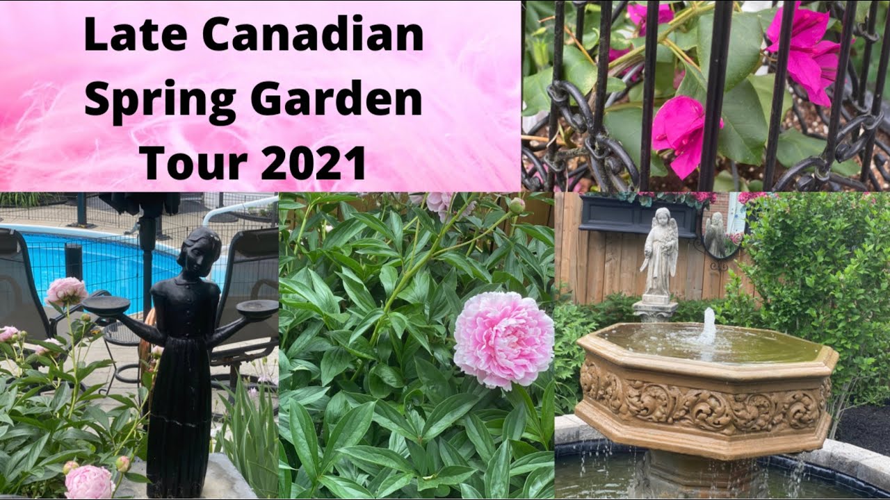 Late Canadian Spring Garden Tour 2021 - Spring into Summer - Part 7 in the Series