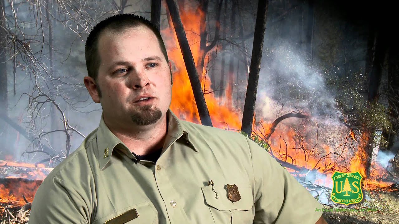 Wildland Firefighter in the US Forest Service, Shasta-Trinity National Forest