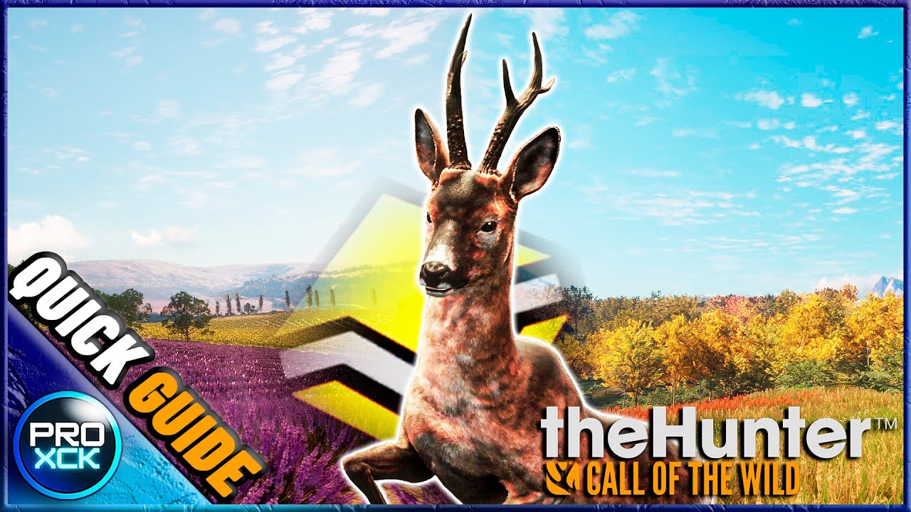 Roe deer Guide for Hirschfelden - theHunter Call of the Wild