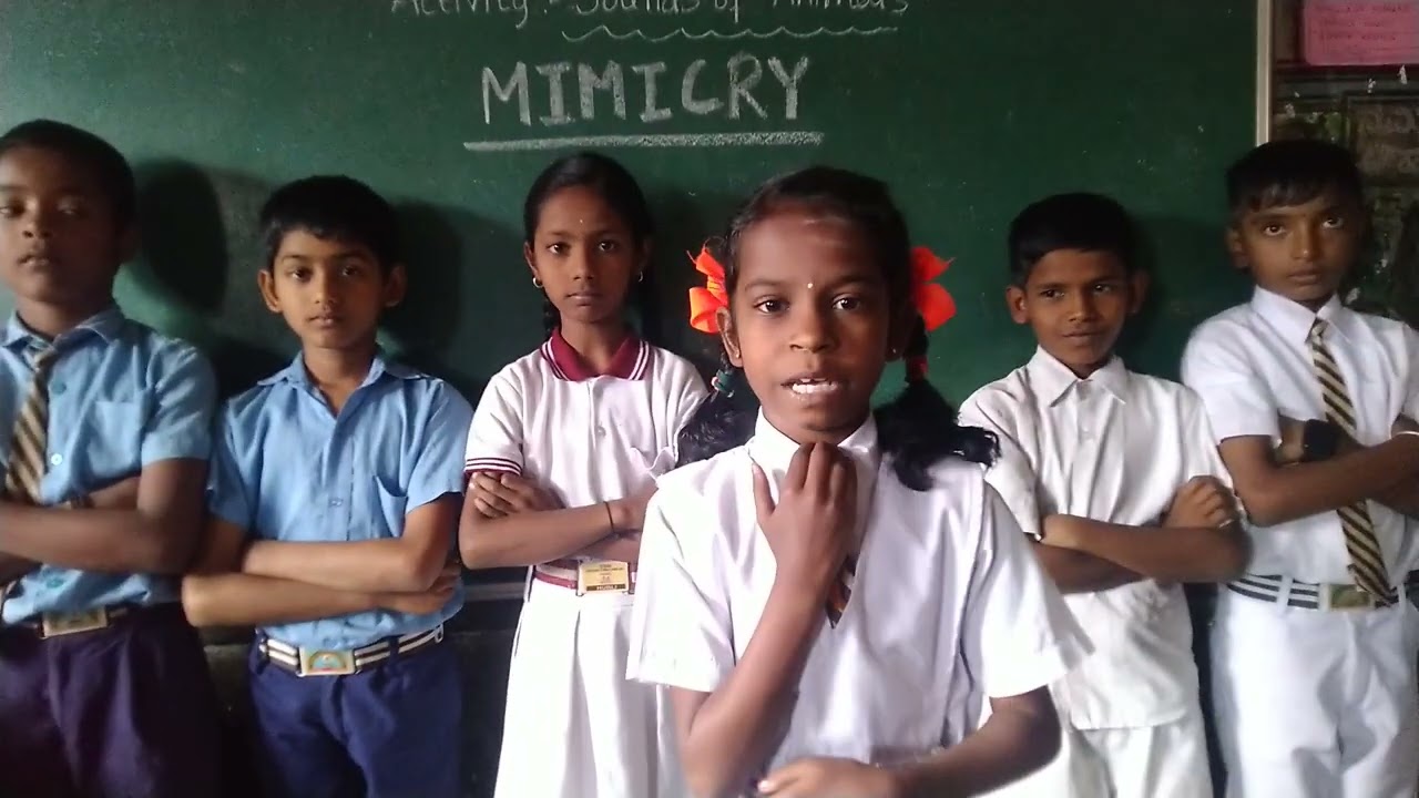 Mimicry - Sounds of Animals - Milestone:6 class 5th students - English - Chitra.A.S. Pendargalli.