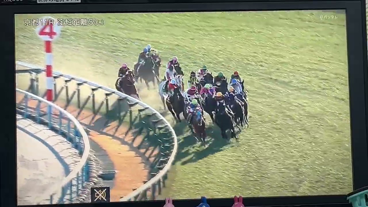 【競馬実況動画2026】 淀短距離ステークス ヤブサメ（武豊）