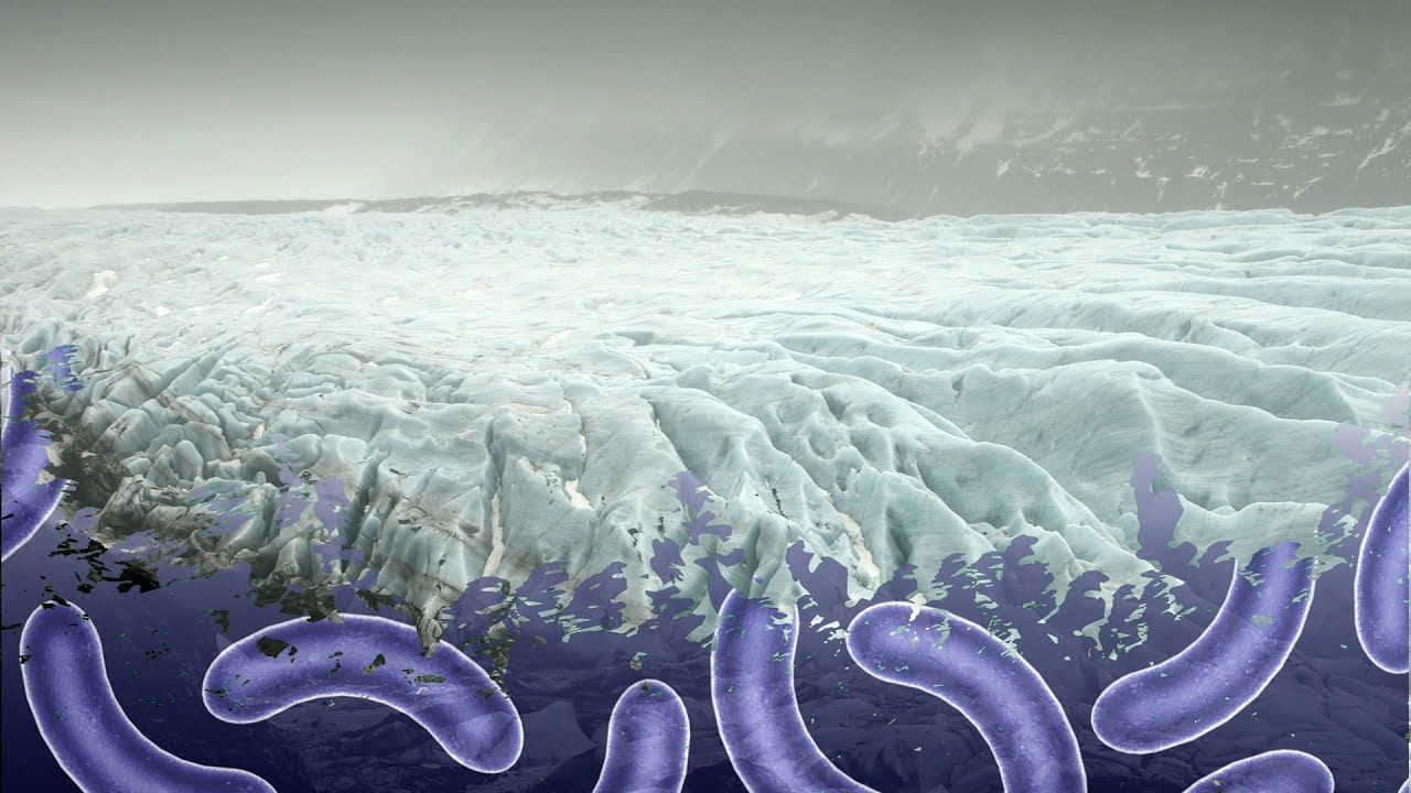 What Diseases Frozen in Ice could be Hidden in our Glaciers? | Earth Science