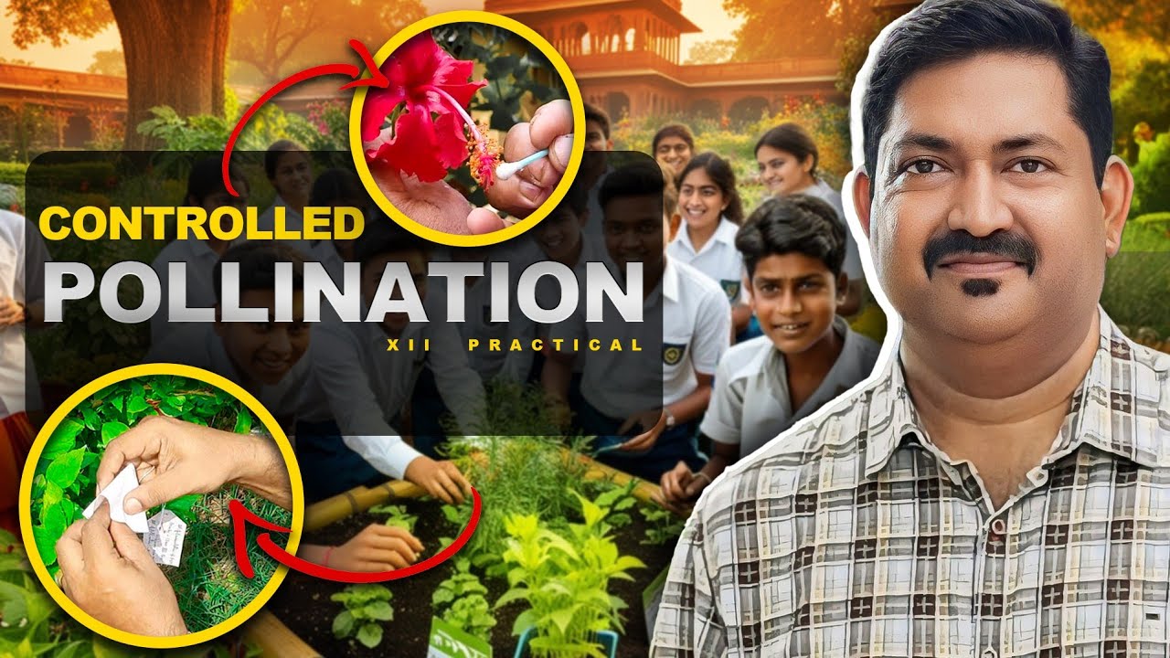 CONTROLLED POLLINATION | Class XII Practical