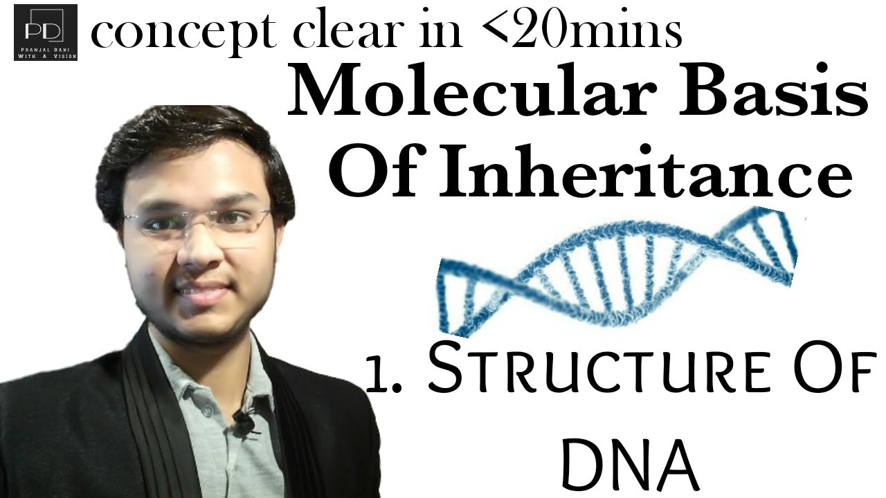 DNA Structure|Molecular Basis of Inheritance|Biology-Class12|Pranjal Dani