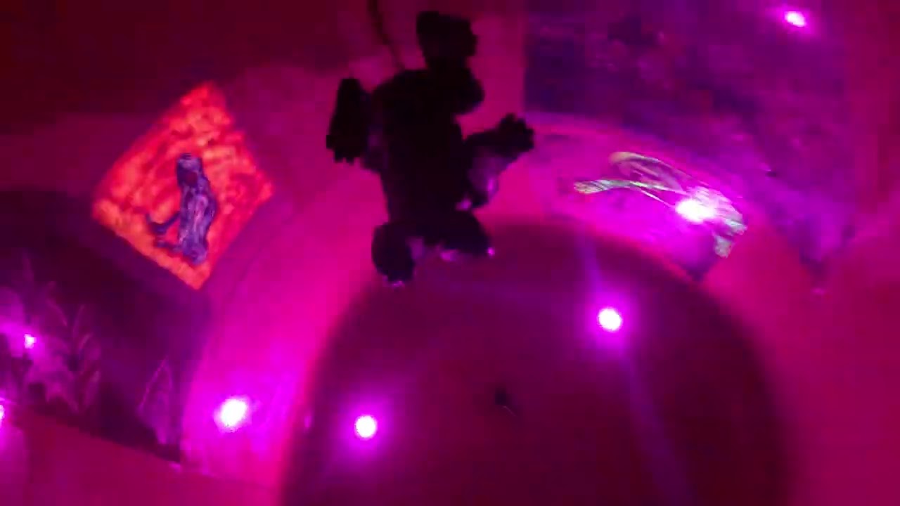 Jungle Cone Wasserrutsche (Onride) Video vom H2O in Herford 