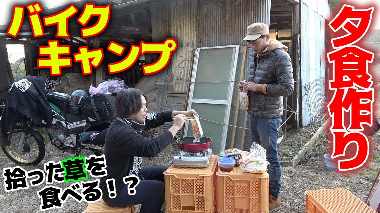 道端で拾った草を夜のキャンプ飯にする！？