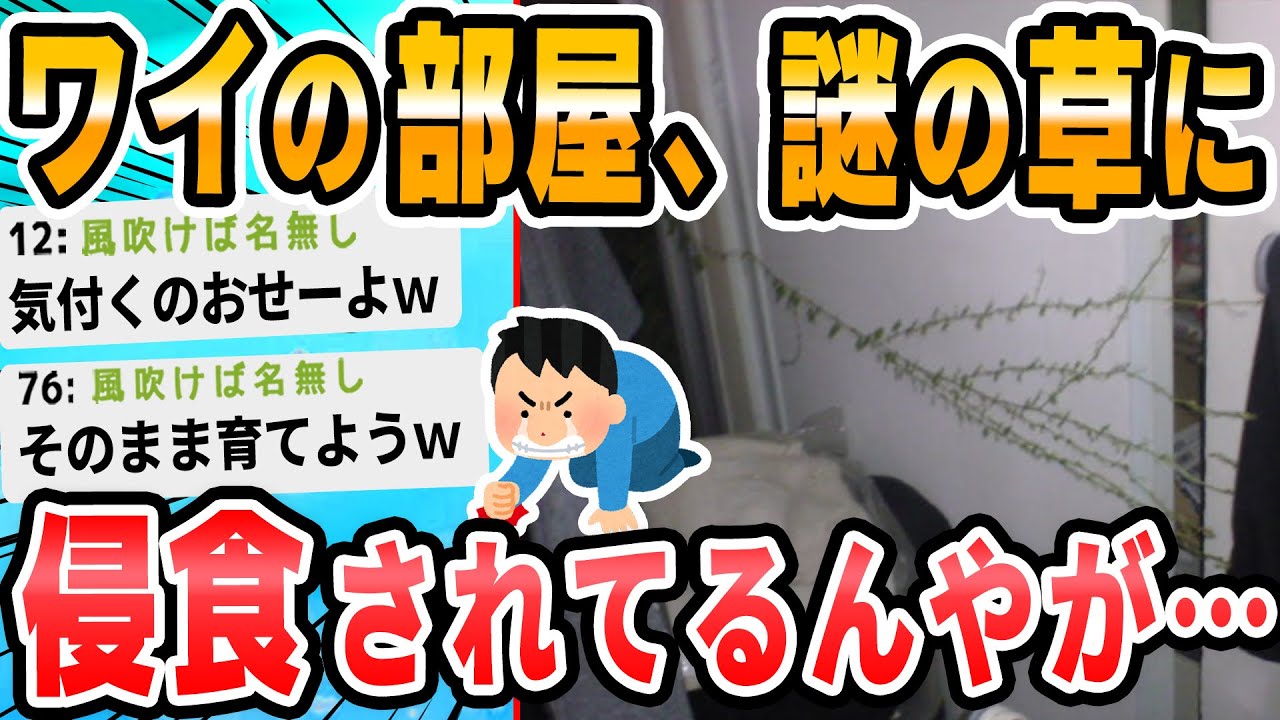 【2ch面白いスレ】気がついたら俺の部屋が謎の植物に浸食されそうになってた