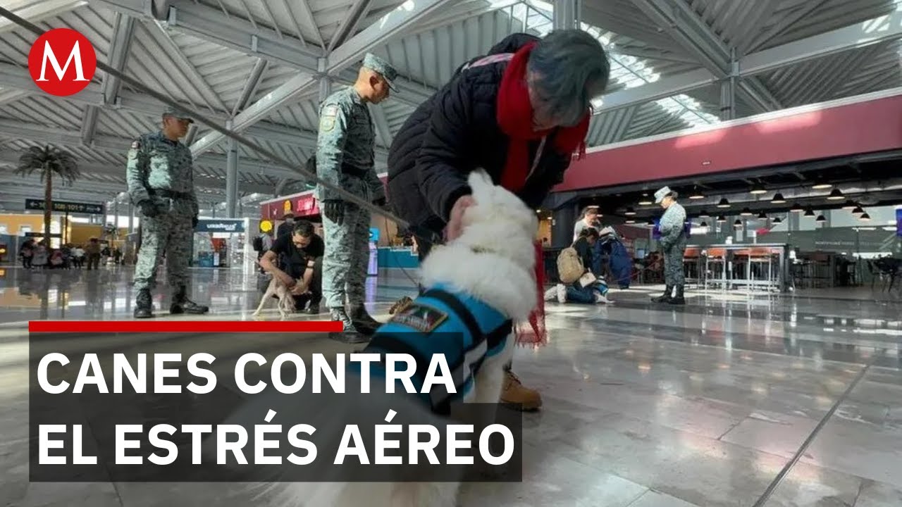 Perros de la Guardia Nacional apoyan a pasajeros en el AIFA