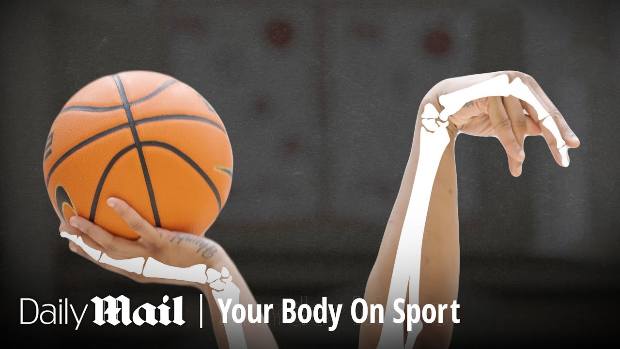 What Basketball Really Does to the Human Body | Your Body On Sport | Daily Mail