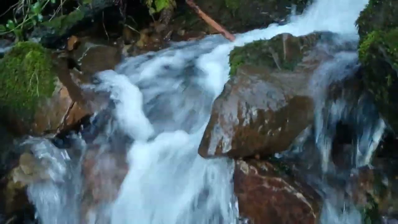 VID 20210128 173628