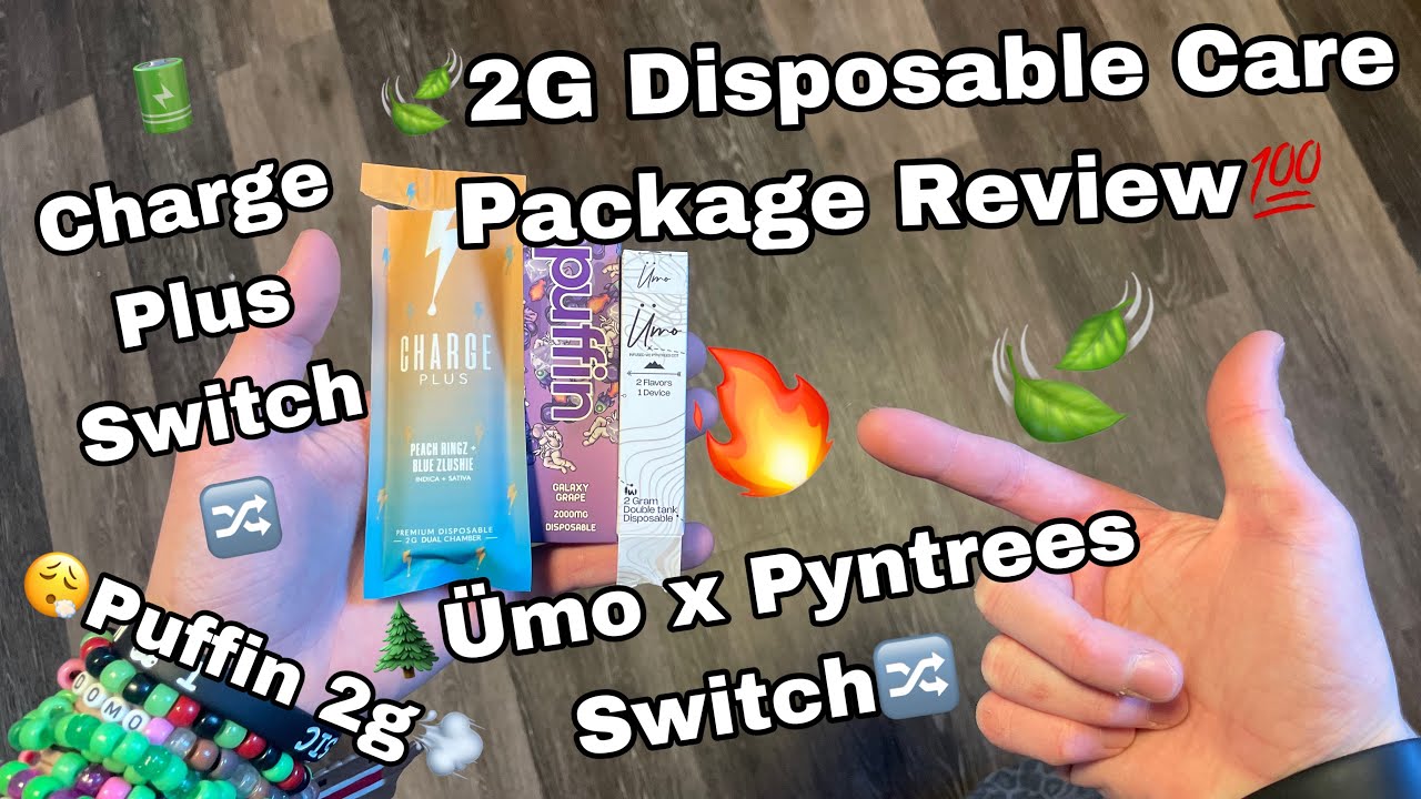 2g Disposable Cart Care Package Review📦💯( Umo X Pyntrees 2g Switch 🌲 + 2g Puffin + 2g Charge Plus )🔀