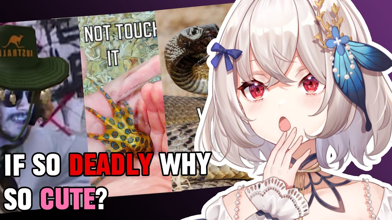 Why So Cute if so Poison Australia? - More Parz Reaction 2