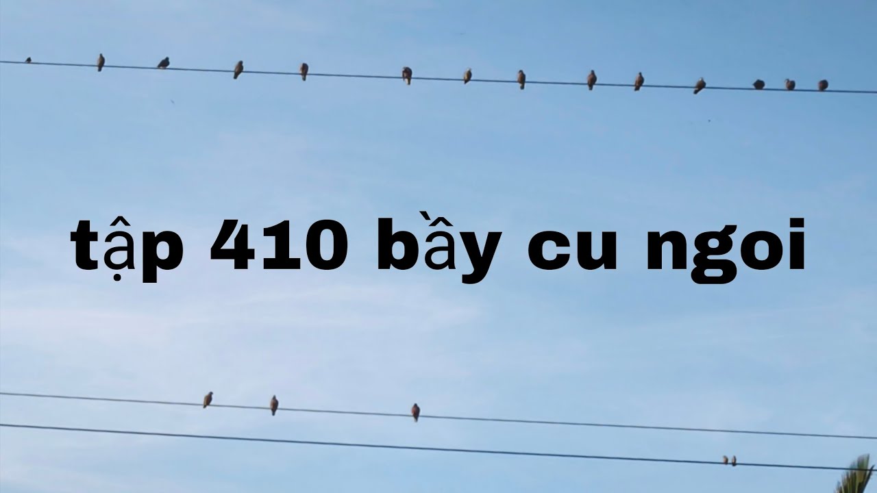 Tập 410 bầy cu ngói và cái kết 