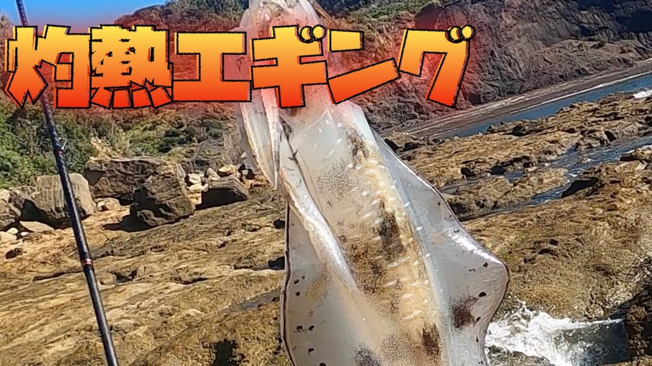 真夏のエギング