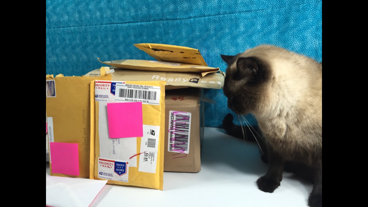 Cinco De Mailo Fan Mail Time May 2015 Opening