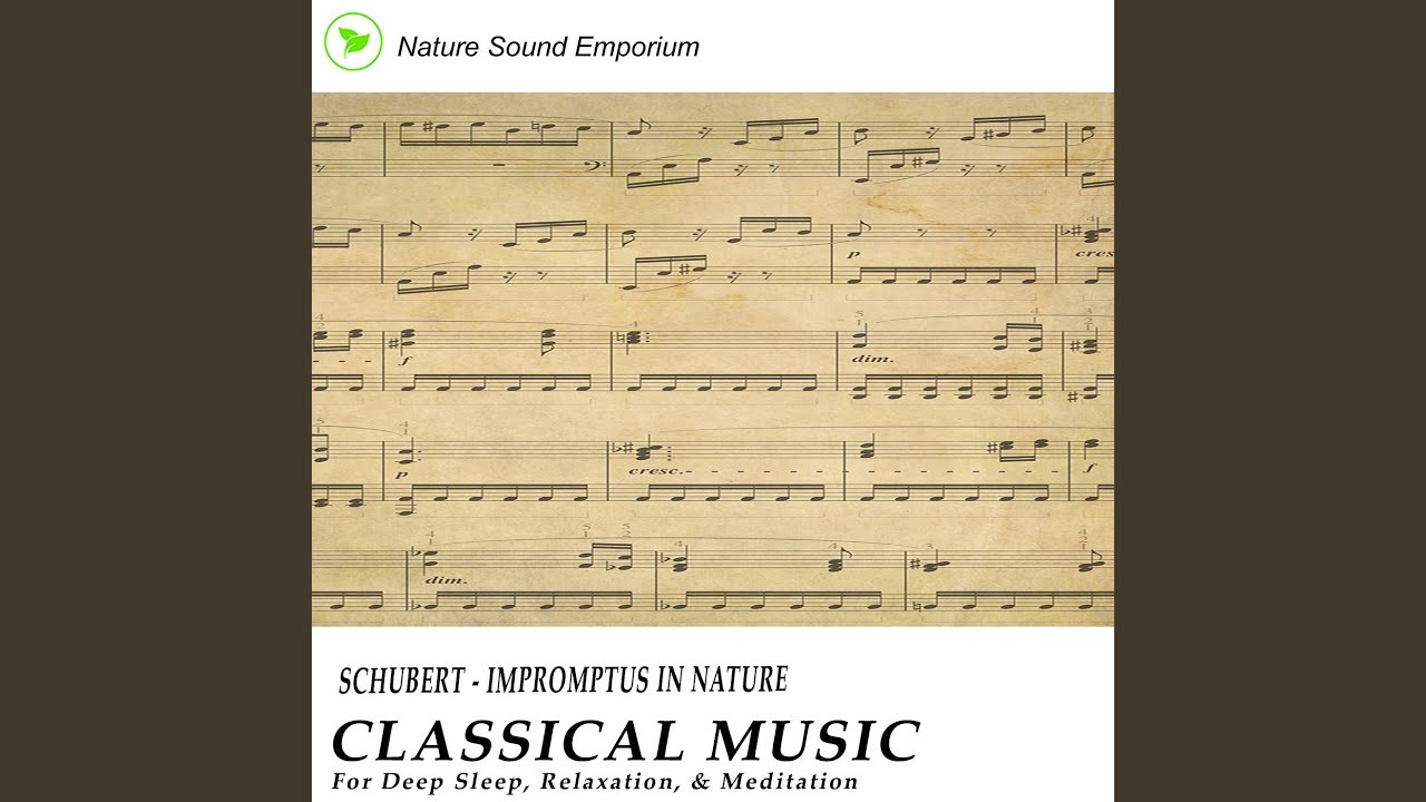 Schubert - Impromptus In Nature