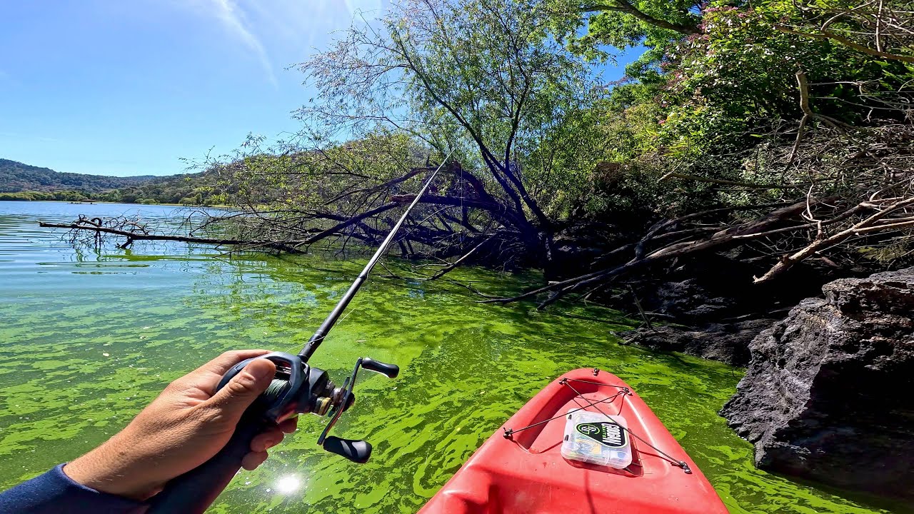 COMO Pescar en Aguas Verdes con Señuelos! | Laguna en el Bosque