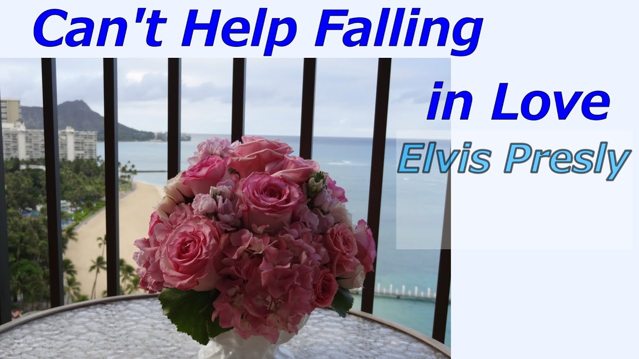 Can't Help Falling in Love   Elvis Presly