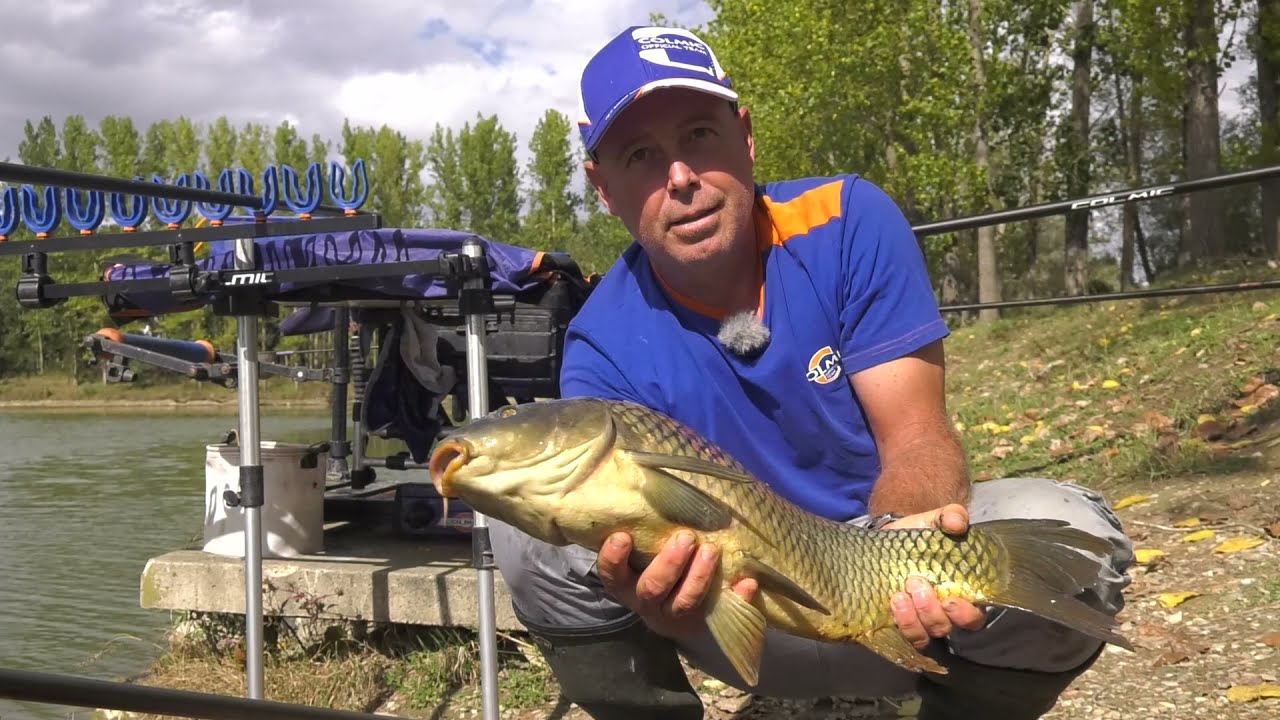 Protocarp NX (Colmic)