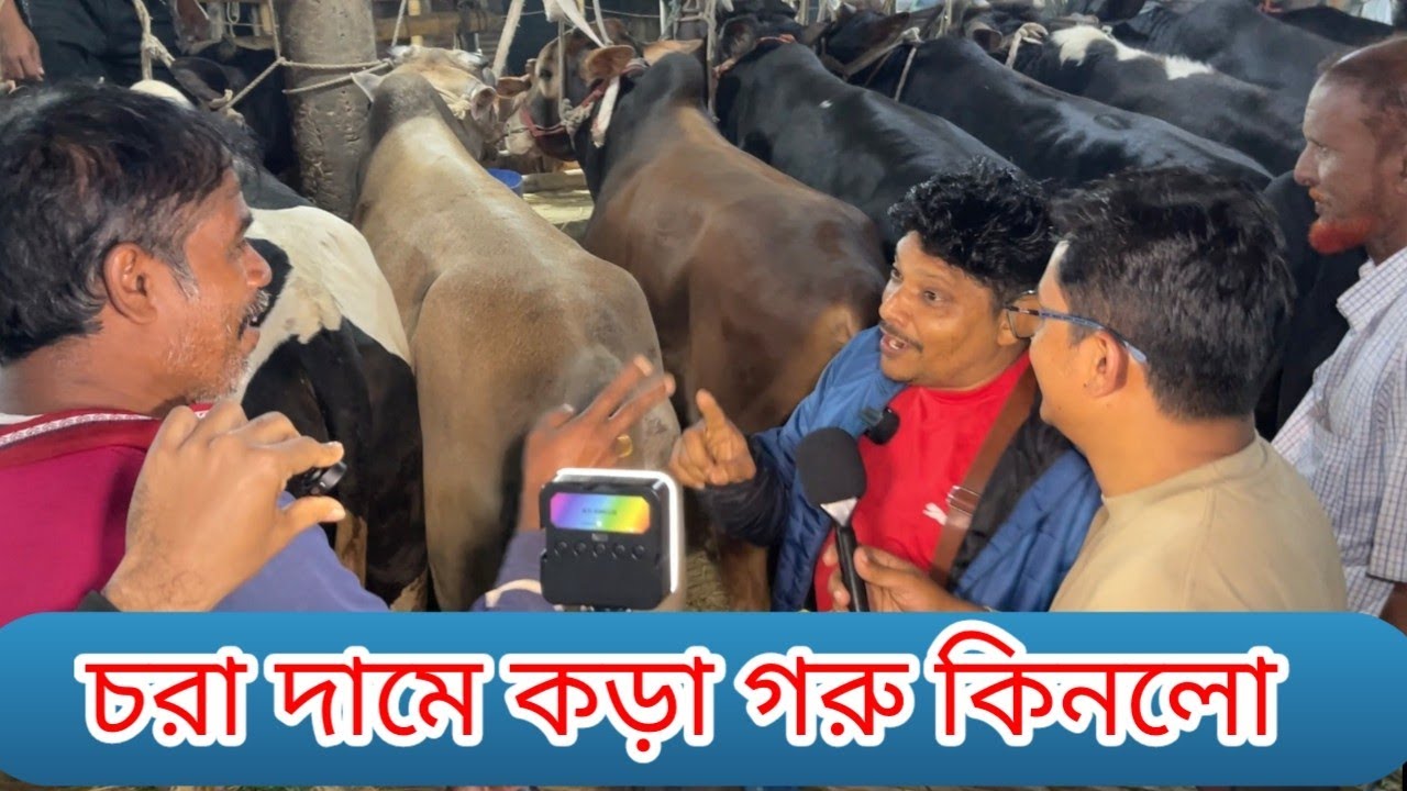 আকরাম ভাই চড়া দাম করা গরু কিনল আজ সালিশ করল মঞ্জু ব্যাপারী গাবতলী গরুর হাট #গরুর_দাম_২০২৬ 