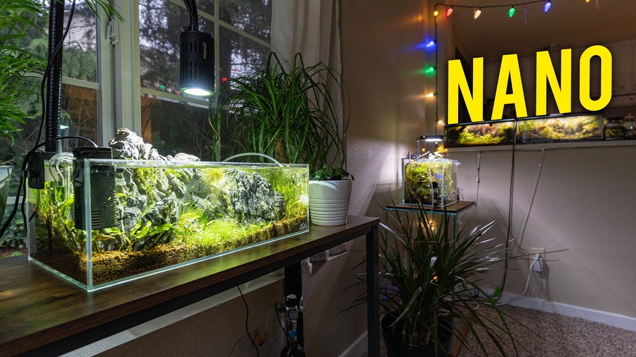 AMAZING Nano Aquascape Fish Room in an Apartment ﻿[Tour]