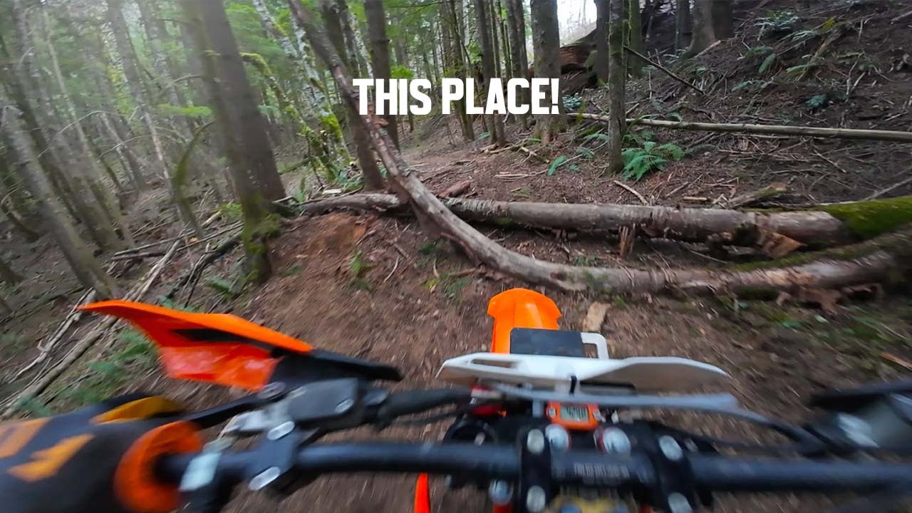 ANOTHER DAY ON THE TRAILS!