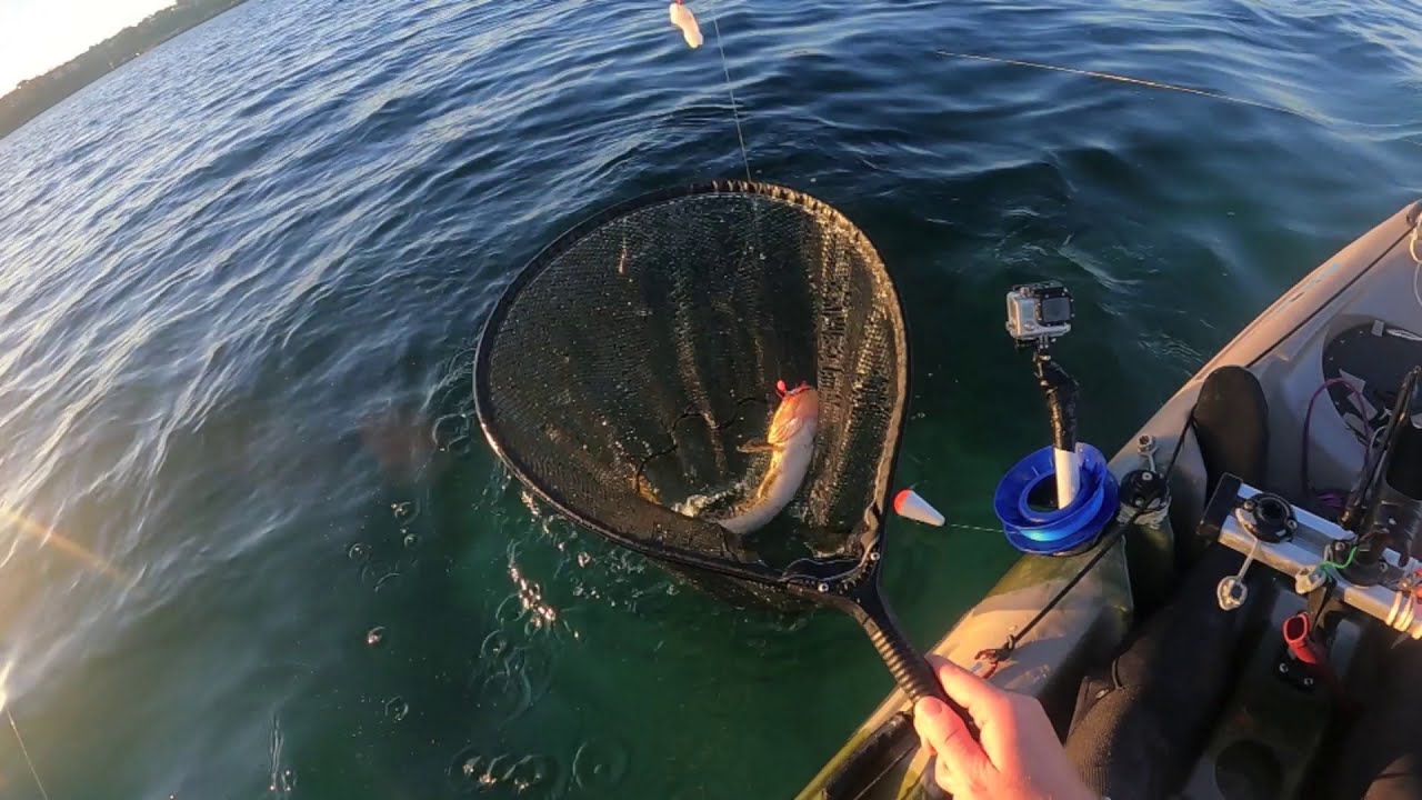 Kayak Fishing Port Phillip Bay Altona & Clifton Springs